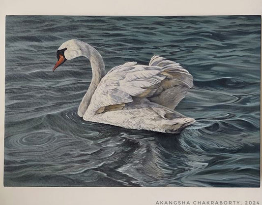 Ivory Wings | Original Oil Painting